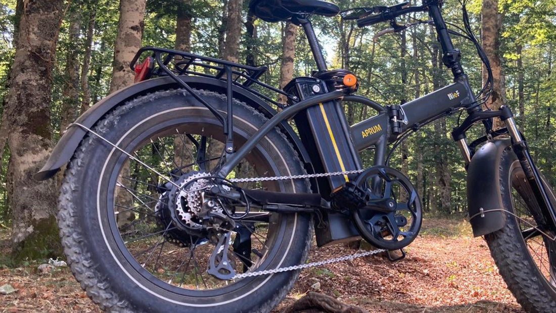 Ebike con deragliatore o monomarcia?