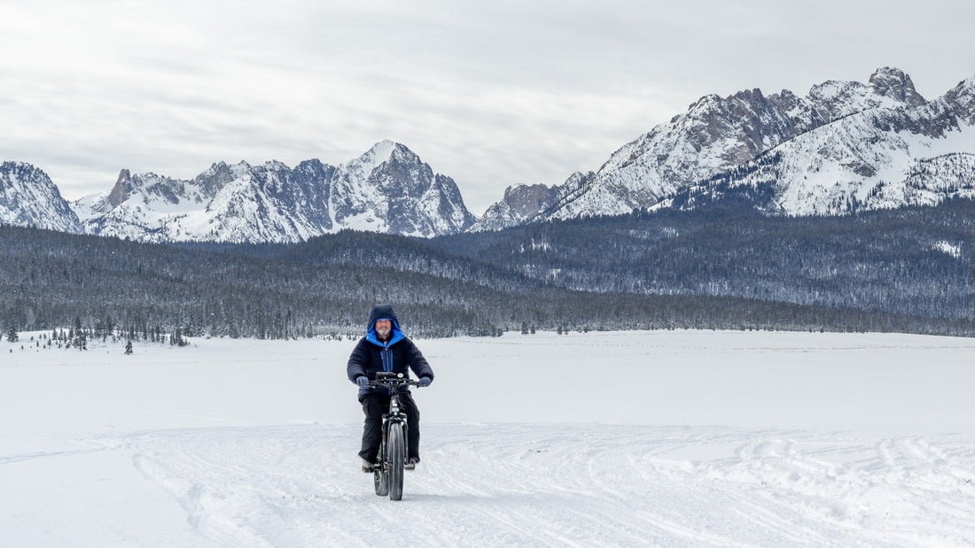 Utilizzare ebike in inverno