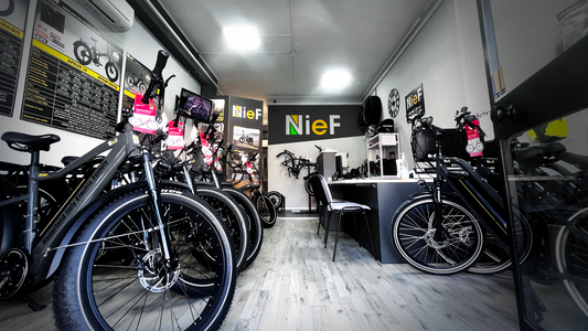 Sabato 17/7: Inaugurazione NieF Ebike Fonte Nuova (RM)