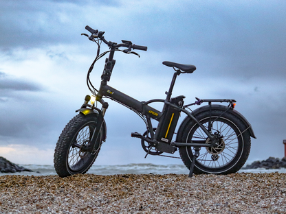 APRUM 14 - FAT BIKE PIEGHEVOLE 20x4.00"  - 48V 14A 672Wh
