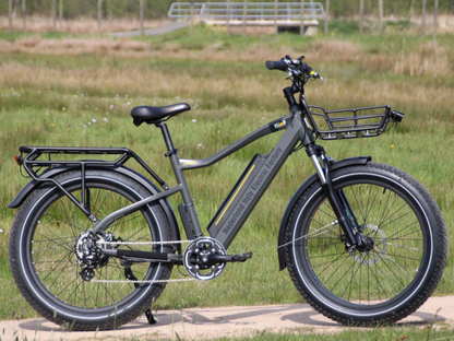 COLOSSEO - FAT BIKE 26x4" - 48V 14A 672Wh