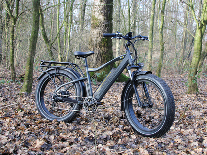 COLOSSEO - FAT BIKE 26x4" - 48V 14A 672Wh