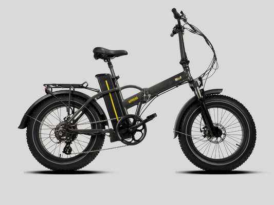 APRUM MAGIS - FAT BIKE PIEGHEVOLE 20x4.00"  - 48V 20A 960Wh