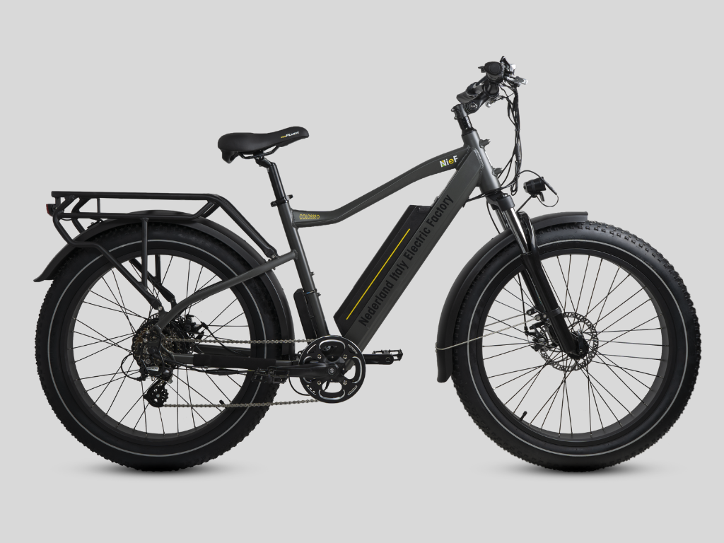 COLOSSEO - FAT BIKE 26x4" - 48V 14A 672Wh