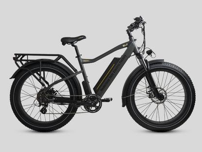 COLOSSEO - FAT BIKE 26x4" - 48V 14A 672Wh