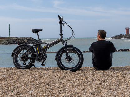 APRUM 14 - FAT BIKE PIEGHEVOLE 20x4.00"  - 48V 14A 672Wh
