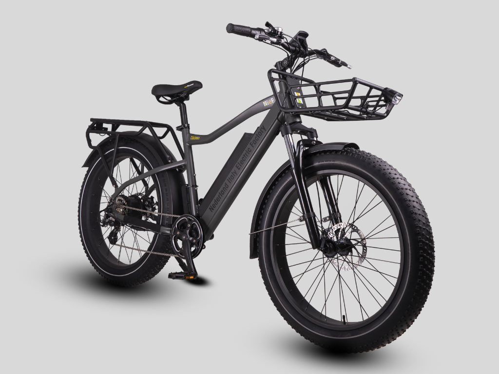 COLOSSEO - FAT BIKE 26x4" - 48V 14A 672Wh