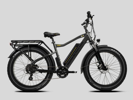 COLOSSEO MAGIS - FAT BIKE 26x4" - 48V 21A 1008Wh