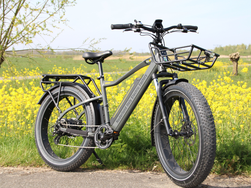 COLOSSEO - FAT BIKE 26x4" - 48V 14A 672Wh